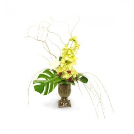 Sublime Orchid Arrangement